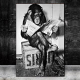 tableau photo animaux noir et blanc
