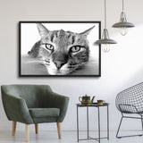 Tableau chat noir et blanc le museau