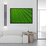 Tableau tropical feuille