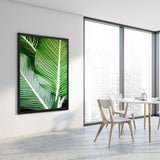 Tableau tropical palm