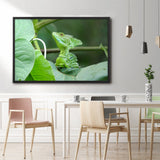 Tableau tropical le cameleon