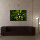 Tableau Ailes de Papillons