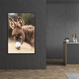 Tableau Ane
