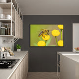 Tableau Abeille La Reine