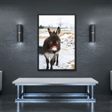 Tableau Ane En Plein Hiver