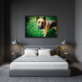 Tableau  Berger Allemand Regard D'Amour