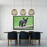 Tableau Bulldog Dès le Plus Jeune Âge