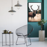 Tableau Cerf Sauvage