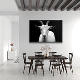 Tableau Chèvre Blanche