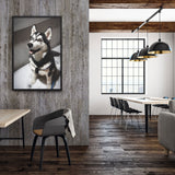 Tableau Chien Loup Husky