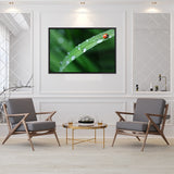 Tableau Coccinelle