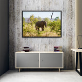 Tableau Eléphant Indien dans la Ville