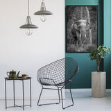Tableau Eléphant en Noir et Blanc