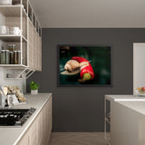 Tableau Escargot (un Dîner Epicé)