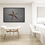 Tableau Etoile de Mer