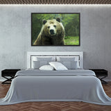 Tableau  Grizzly Manteau de Velours