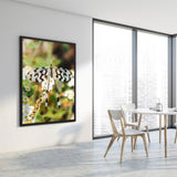 Tableau Moderne Papillon Blanc