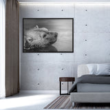 Tableau Ours Noir et Blanc Nageant