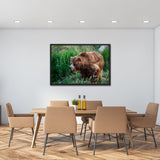 Tableau Ours dans l'Herbe