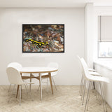 Tableau Salamandre