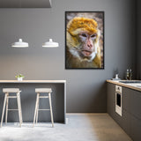 Tableau Singe Énervé