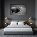 Tableau  Taureau Sauvage