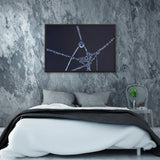 Tableau Toile d'araignée Emmêlée