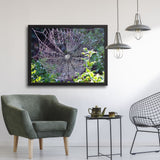 Tableau  Toile d'araignée