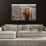 Tableau Vache Ecossaise