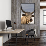 Tableau avec un Taureau Blanc