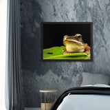 Tableau de Grenouille