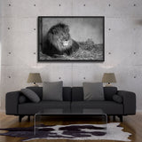 Tableau de Lion Noir et Blanc