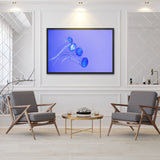 Tableau de Méduse (Petites Bleues)