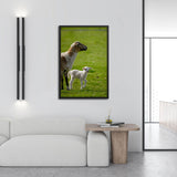 Tableau de Mouton et son Agneau