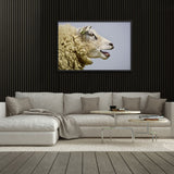 Tableau de Mouton qui Bêle