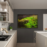 Tableau de Serpent Tacheté