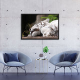Tableau de Tigre Blanc Endormi