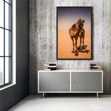 Tableau Chameau Désert De Sable Fin