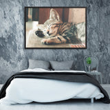 Tableau Chaton Endormi