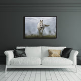 Tableau Cheval Blanc au Galop