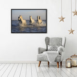Tableau Chevaux Camarguais
