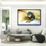 Tableau Chihuahua Rigolo