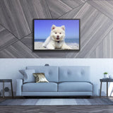 Tableau Chiot Pelage De Neige