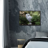 Tableau Chouette la Dame Blanche
