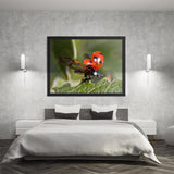 Tableau Coccinelle Parée au Décollage