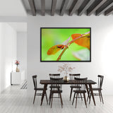 Tableau Coccinelle (L'Accouplement)