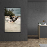 Tableau Cochon dans L'Eau