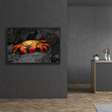 Tableau Crabe aux Couleurs Vives