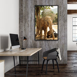 Tableau Eléphant Indien