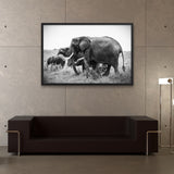 Tableau Famille Eléphant Noir Et Blanc